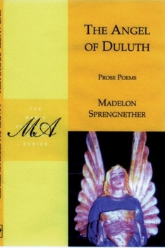 Paperback The Angel of Duluth Book