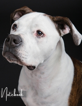 Paperback Notebook: Unlined - Unruled - Plain Notebook - 130 Pages - Large Format 8.5 x 11 in - Workbook - Composition - American Bulldog Book