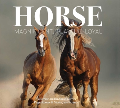 Hardcover Horse: Magnificent, Playful, Loyal Book