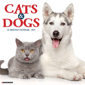Calendar Cats & Dogs 2021 Wall Calendar Book