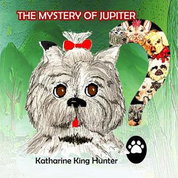 Paperback The Mystery of Jupiter Book