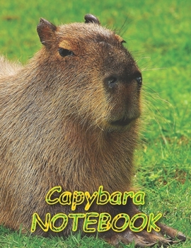 Capybara NOTEBOOK: Notebooks and Journals 110 pages (8.5"x11")