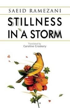 Paperback Stillness in a Storm Book