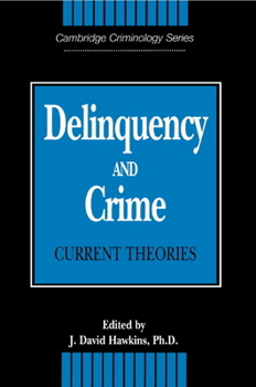 Paperback Delinquency and Crime: Current Theories Book