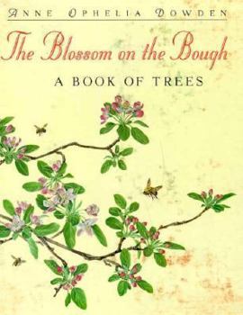 Hardcover Blossom on the Bough CL Book