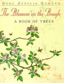 Hardcover The Blossom on the Bough Book
