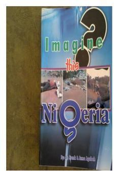 Paperback Imagine this Nigeria Book