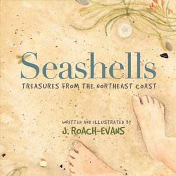 Paperback Seashells: Treasures from the Northeast Coast Book