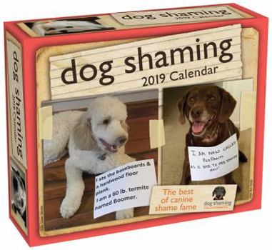 Calendar Dog Shaming 2019 Day-To-Day Calendar Book