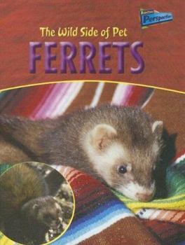 Library Binding The Wild Side of Pet Ferrets Book