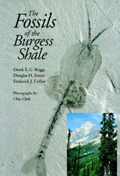 Hardcover The Fossils of the Burgess Shale Book