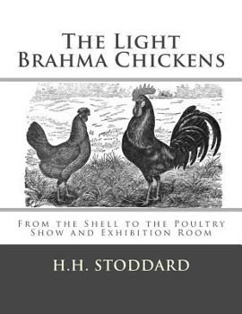 Paperback The Light Brahma Chickens (The Light Brahma Fowls): From the Shell to the Poultry Show and Exhibition Room Book