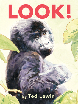 Board book Look! Book