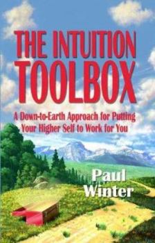 Paperback The Intuition Toolbox Book