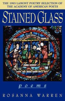 Paperback Stained Glass Book