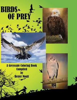 Paperback Birds of Prey: A Greyscale Coloring Book