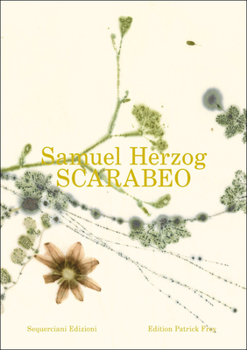 Paperback Samuel Herzog: Scarabeo Book