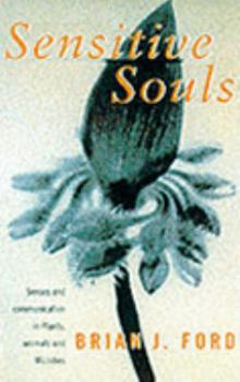 Paperback Sensitive Souls Book