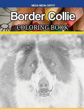 Paperback Border Collie Coloring Book