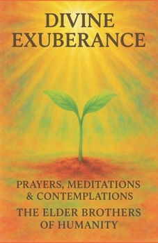 Paperback Divine Exuberance: Prayers, Meditations & Contemplations Book
