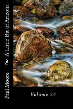 Paperback A Little Bit of Arizona: Volume 24 Book