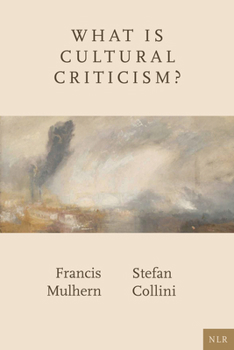 Paperback What Is Cultural Criticism? Book