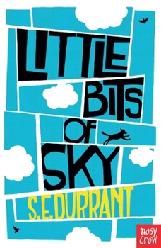 Paperback Little Bits Of Sky Book