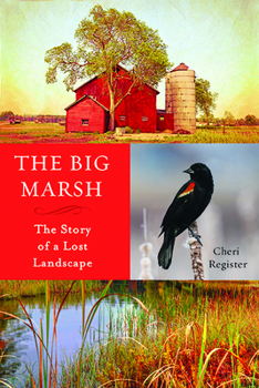 Paperback The Big Marsh: The Story of a Lost Landscape Book