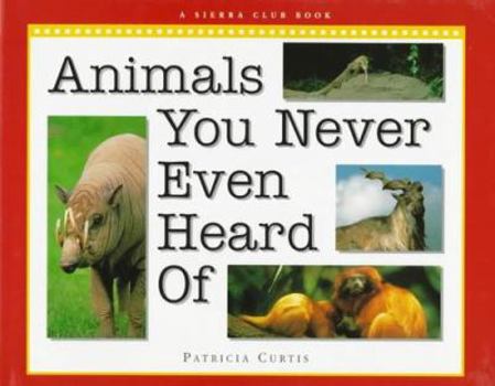 Hardcover Animals You Never Even Heard of Book