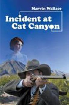 Paperback Incident at Cat Canyon Book