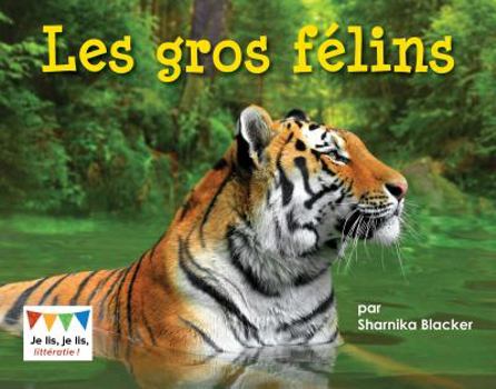 Les gros félins