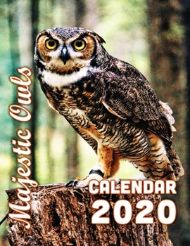 Paperback Majestic Owls Calendar 2020: From the Solemn to the Funny, Beautiful Owls 14-Month Desk Calendar Book