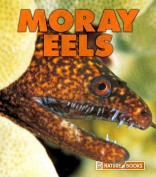 Library Binding Moray Eels Book