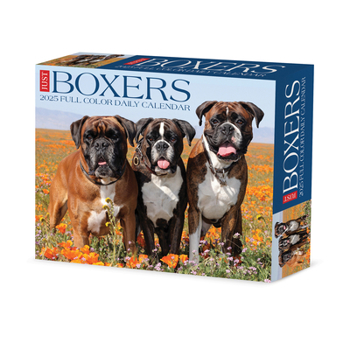 Calendar Boxers 2025 6.2 X 5.4 Box Calendar Book