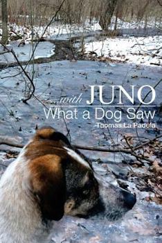Paperback ...with Juno: What a Dog Saw Book
