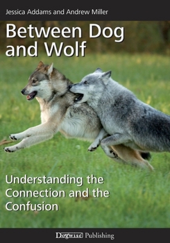 Paperback Between Dog and Wolf: Understanding the Connection and the Confusion Book