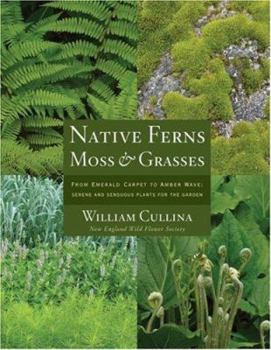 Hardcover Native Ferns, Moss & Grasses: From Emerald Carpet to Amber Wave: Serene and Sensuous Plants for the Garden Book