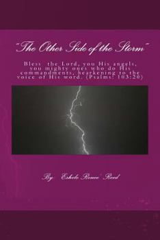 Paperback The Other Side of the Storm Book