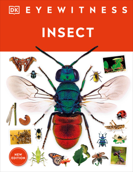 Hardcover Eyewitness Insect Book