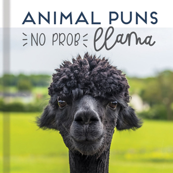 Hardcover Animal Puns: No Prob Llama Book