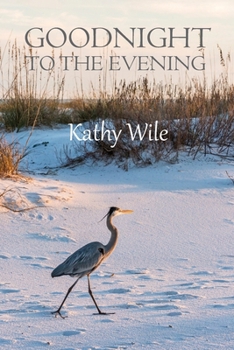 Cover for "Goodnight to the Evening"