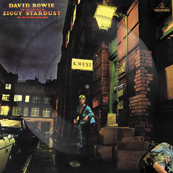 Vinyl The Rise and Fall of Ziggy Stardust and the Spider Book