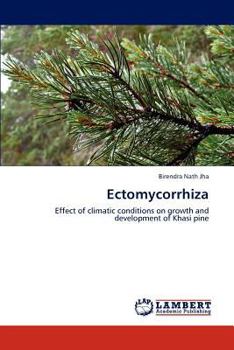 Paperback Ectomycorrhiza Book