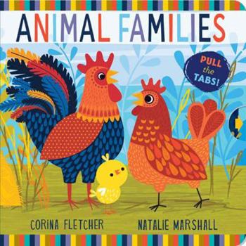 Board book Animal Families Book