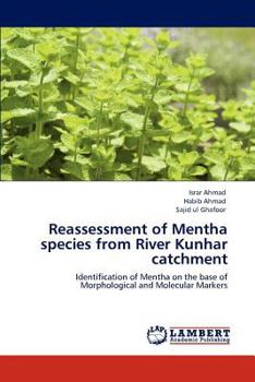 Paperback Reassessment of Mentha Species from River Kunhar Catchment Book