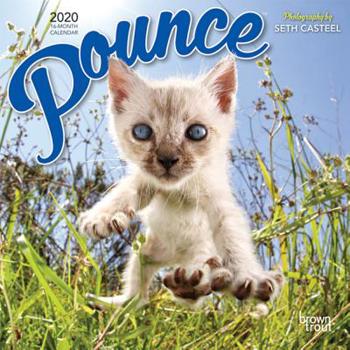 Calendar Pounce 2020 Mini 7x7 Book