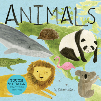 Board book Animals: Touch, Listen, & Learn Features Inside! Book