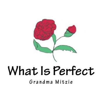 Paperback What Is Perfect Book