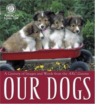 Hardcover Our Dogs: A Century of Images and Words from the AKC Gazette Book