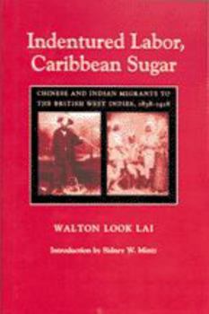 Indentured Labor, Caribbean Sugar: Chinese and Indian Migrants to the British West Indies, 1838-1918 (Johns Hopkins Studies in Atlantic History and Culture) - Book  of the Johns Hopkins Studies in Atlantic History and Culture